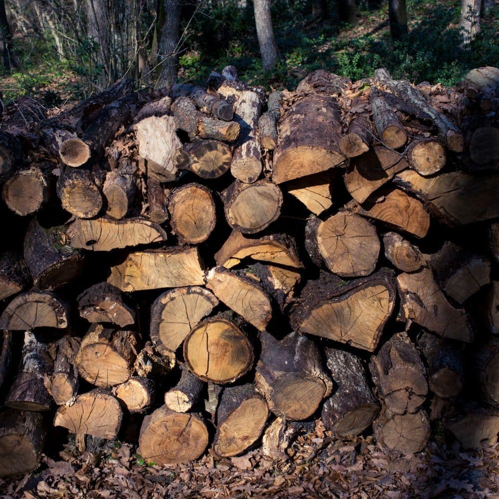 Services | Aadams Tree Service, Tree Care, Tree Trimming &Amp; Pruning, Tree Removal, Stump Grinding | Tree Service, Tree Trimming &Amp; Pruning, Tree Removal, Stump Grinding | Aadams Tree Firewood 1