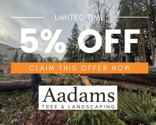 Request A Quote | Aadams Tree Service, Tree Care, Tree Trimming &Amp; Pruning, Tree Removal, Stump Grinding | Tree Service, Tree Trimming &Amp; Pruning, Tree Removal, Stump Grinding | Aadams Tree Offer