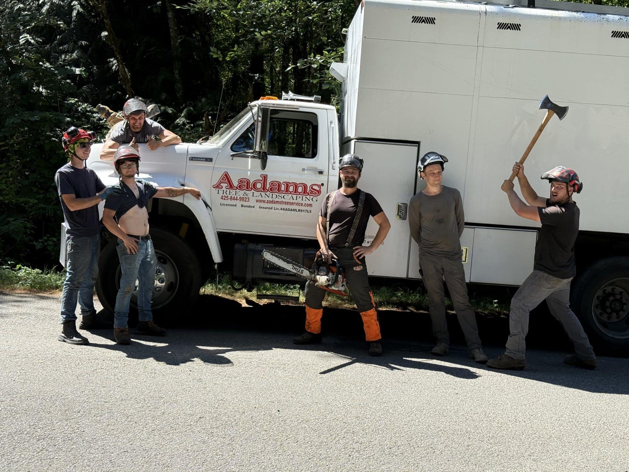 Services | Aadams Tree Service, Tree Care, Tree Trimming &Amp; Pruning, Tree Removal, Stump Grinding | Tree Service, Tree Trimming &Amp; Pruning, Tree Removal, Stump Grinding | Aadams Tree Service Stump Grinding 24
